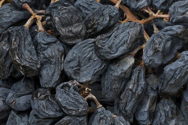 Quelle est la meilleure période pour une immersion dans les vignobles de Porto pendant les vendanges ?